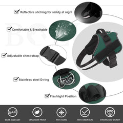 Poignee integree Bolux pour un controle securisant pendant les promenades.