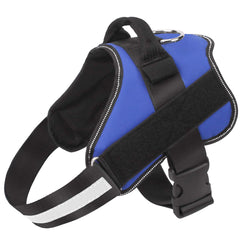Harnais Bolux bleu pour chien – ensemble sans tirage et visibilité élevée.