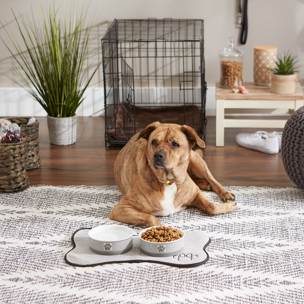 Bol Bone Dry empreinte patte, motif ludique pour éveiller l'appétit de l'animal.