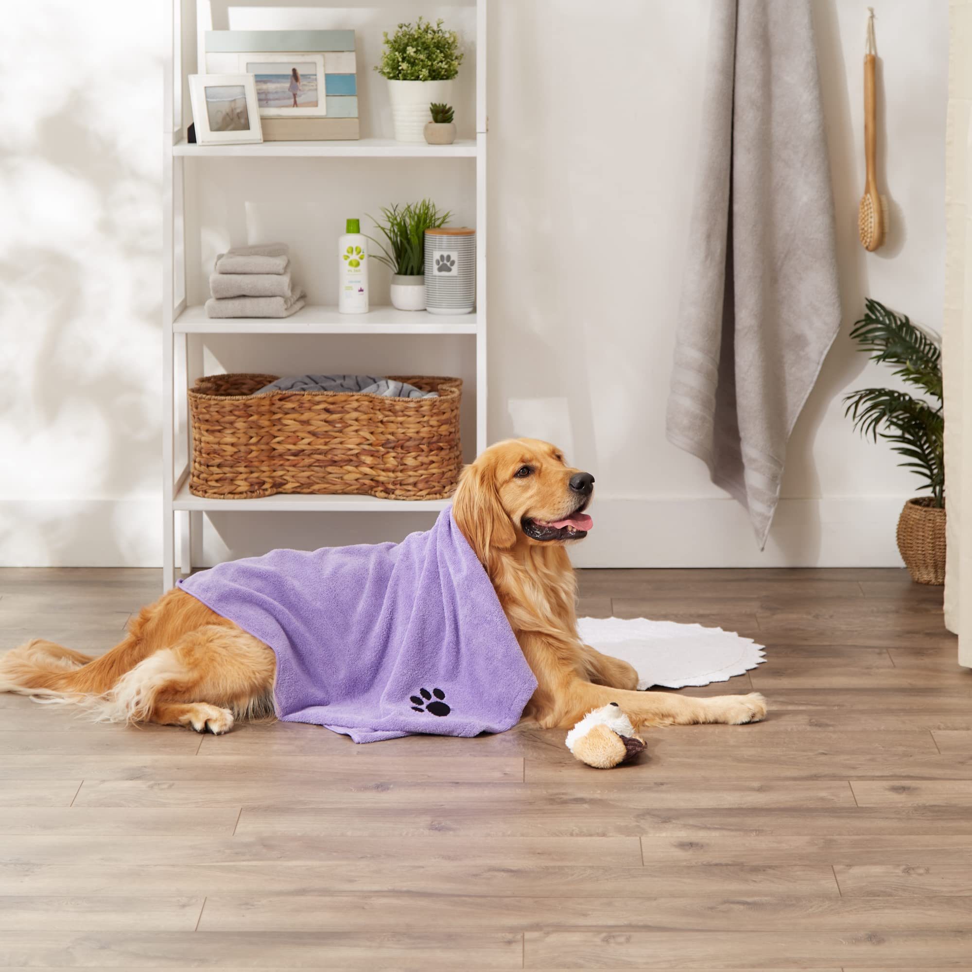 Confort en kennel avec la serviette Bone Dry lavande.
