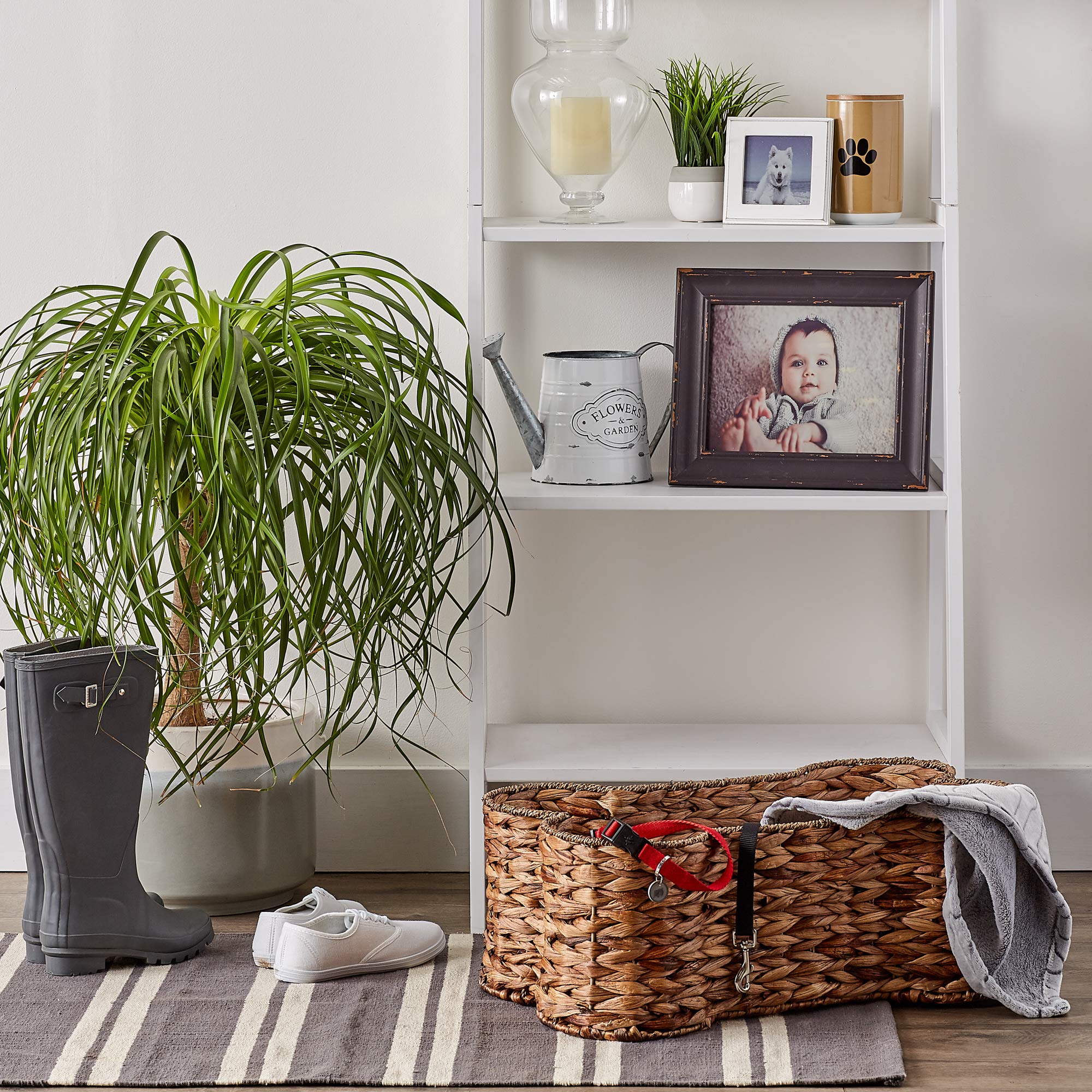 Bone Dry Panier Os Hyacinthe – idéal pour ranger friandises et jouets pour chien.
