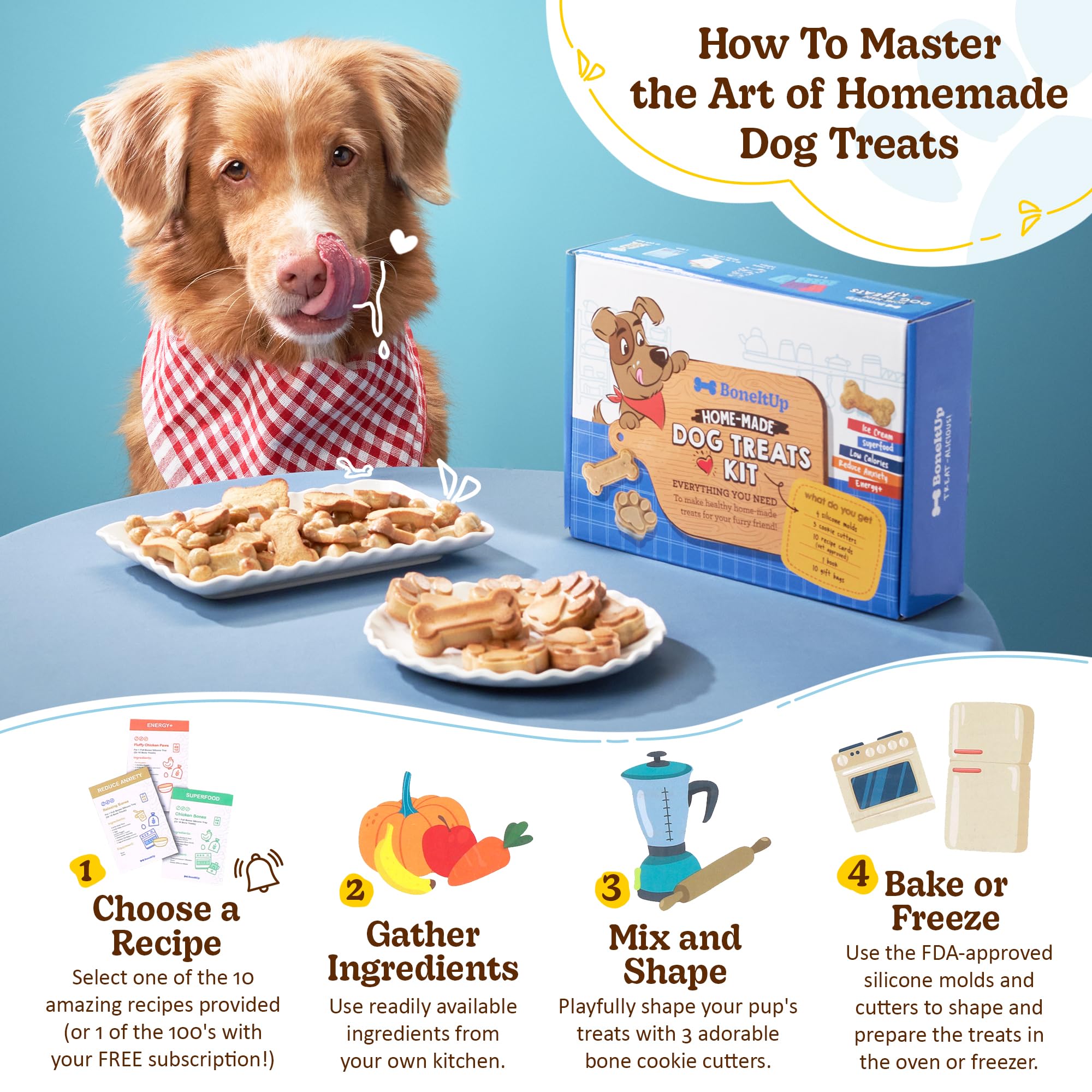 BoneItUp atelier-biscuits-domicile – activité ludique à partager avec votre chien.