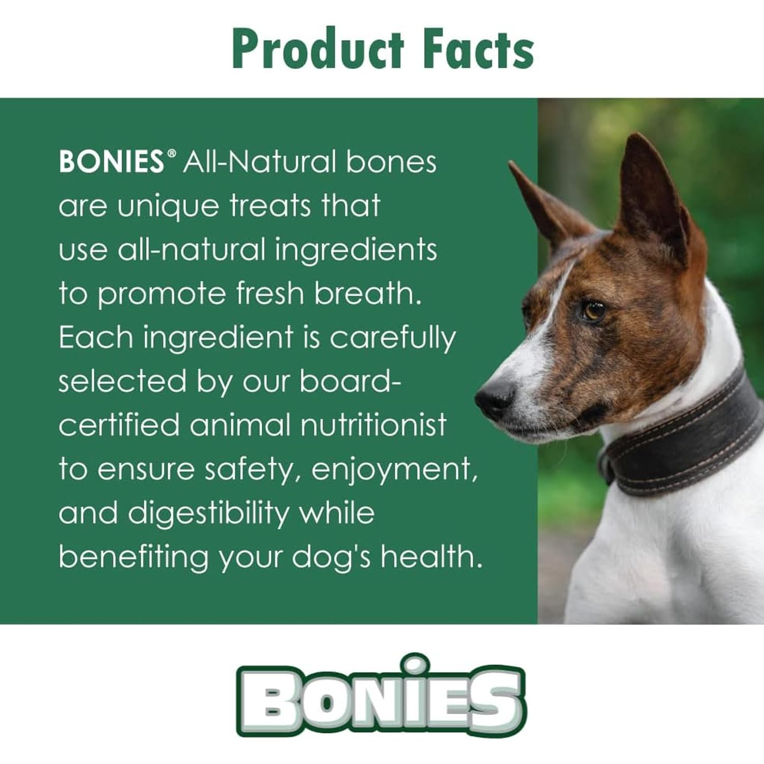 Bonies chien détendu et heureux après la collation.
