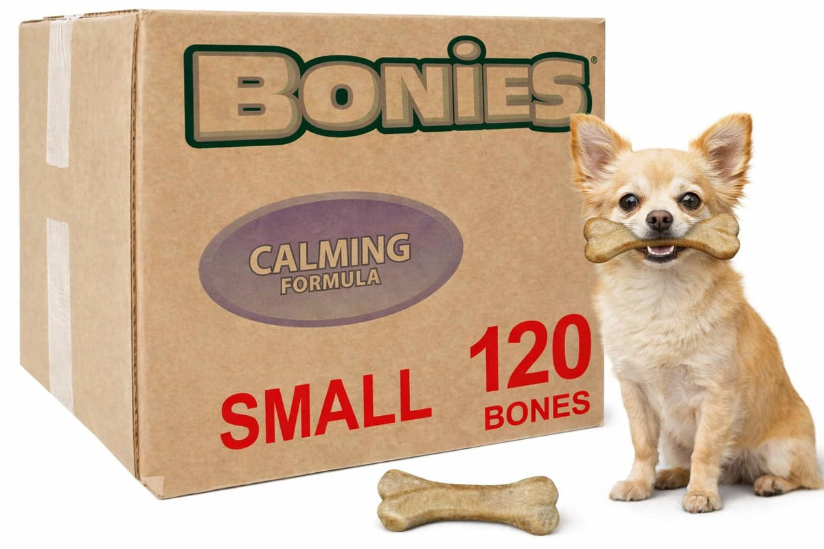 Bonies os apaisant petit chien, calme les moments stressants.