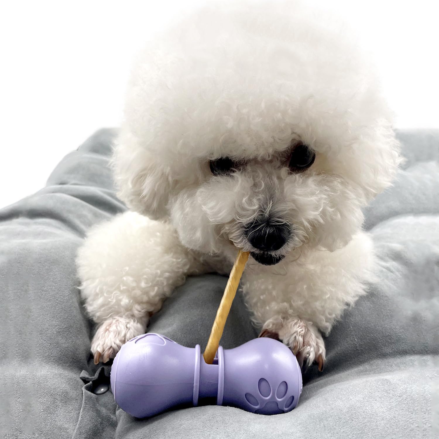 Porte-bâton BoniVet violet — ensemble complet pour chiens, facile à utiliser.