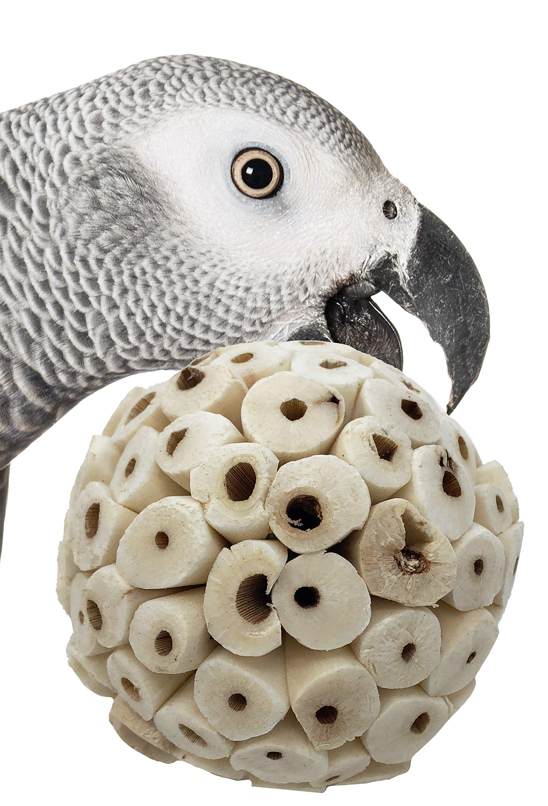 Bonka balles sola-attas de 2 pouces, faciles à saisir par les oiseaux.