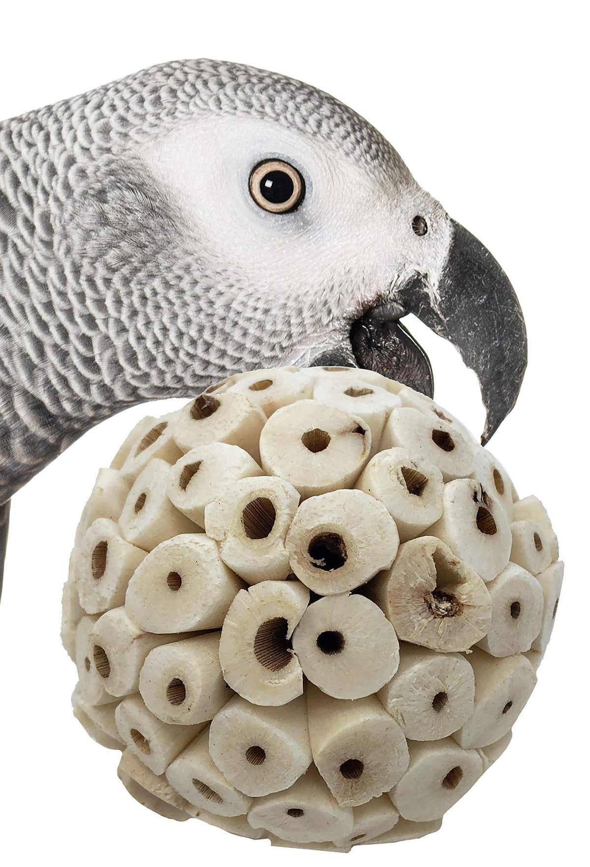 Bonka balles sola-attas de 2 pouces, faciles à saisir par les oiseaux.