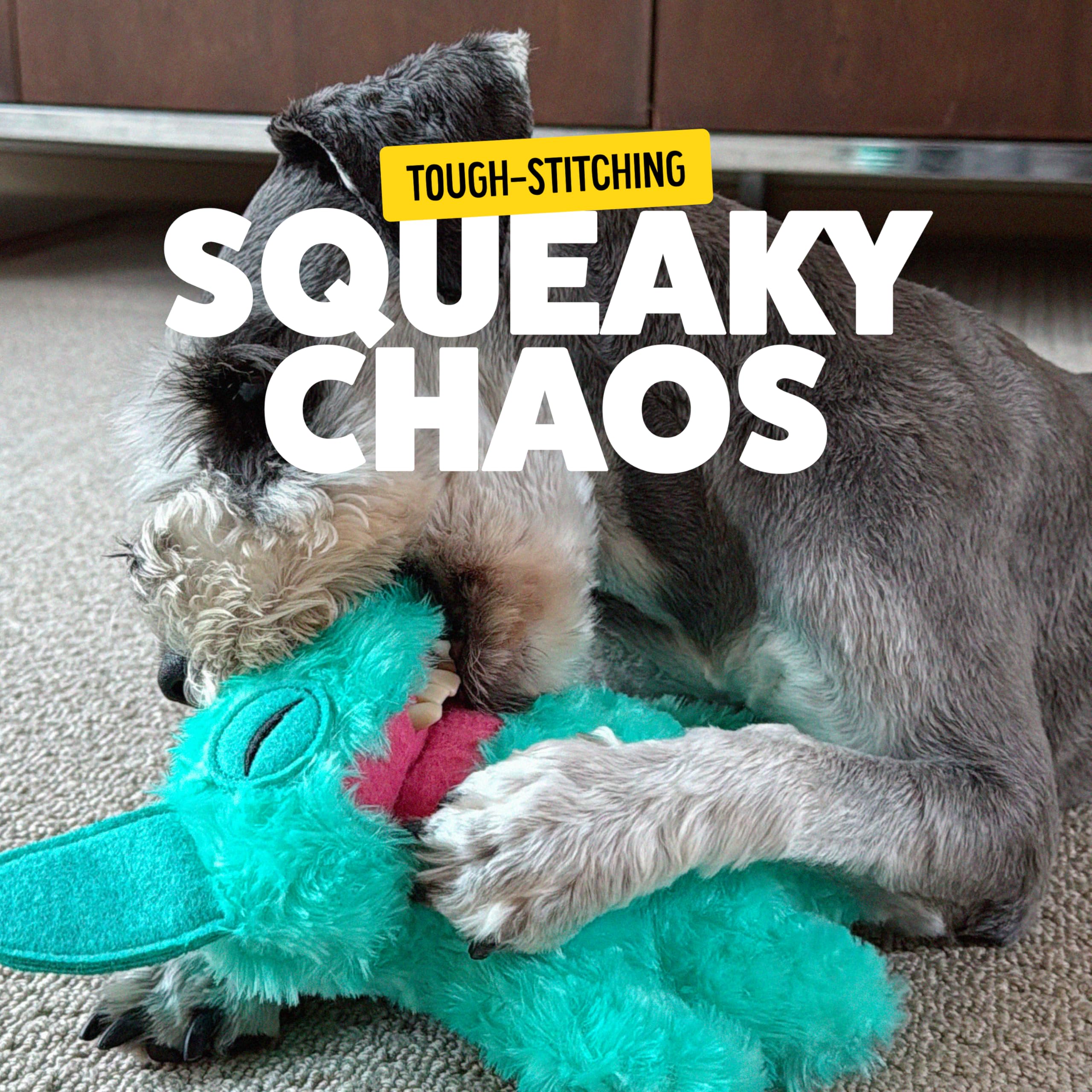 Peluche Bonkers Fuggler Hedge Grog douce et affectueuse pour chiens.