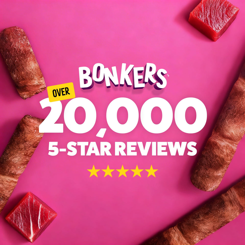Adapté à tous les âges, Bonkers Nibble Sticks pour chats.