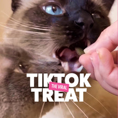 Chat savourant une friandise Bonkers Paw Lickin' Chicken au goût irrésistible.