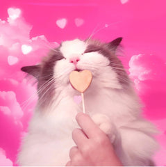 Bonkers Purrpops emballage 36 sachets chat – pratique et portionnable pour le quotidien
