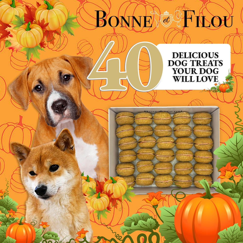 Cadeau anniversaire pour chien, Bonne et Filou gourmand