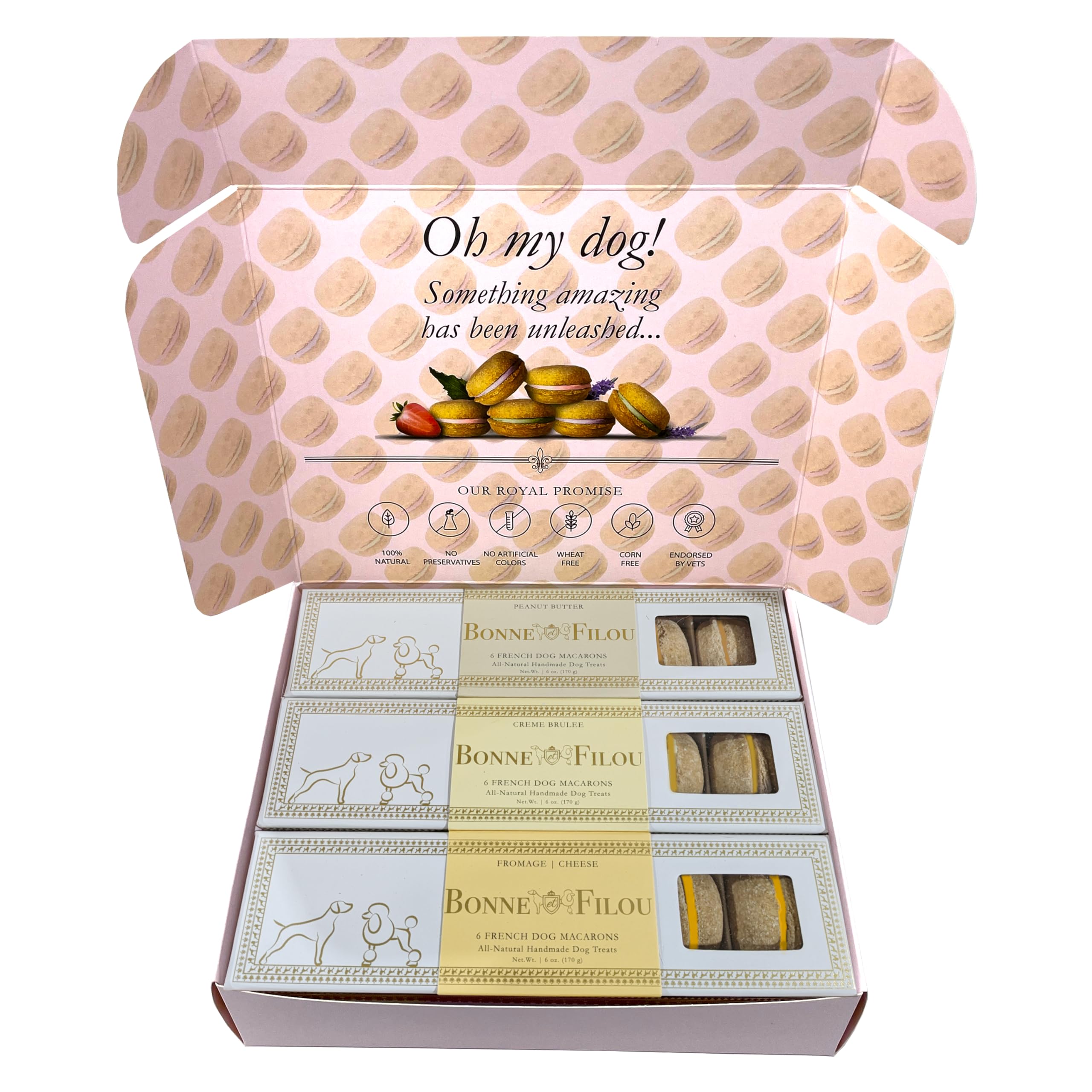 Bonne et Filou macarons chien en boîte 18, plaisir gourmand sans réfrigération.