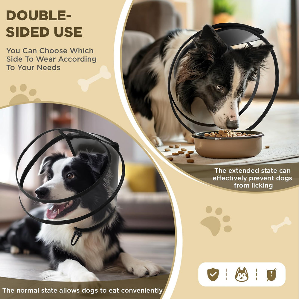 BONTHEE collier cone chien visibilite claire.