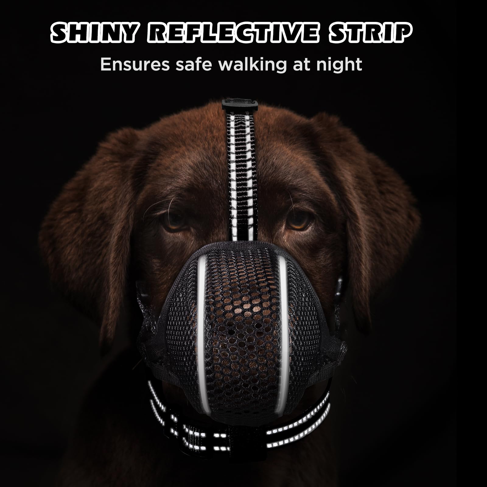 Masque pour chien BONTHEE idéal pour visites vétérinaires et toilettage.