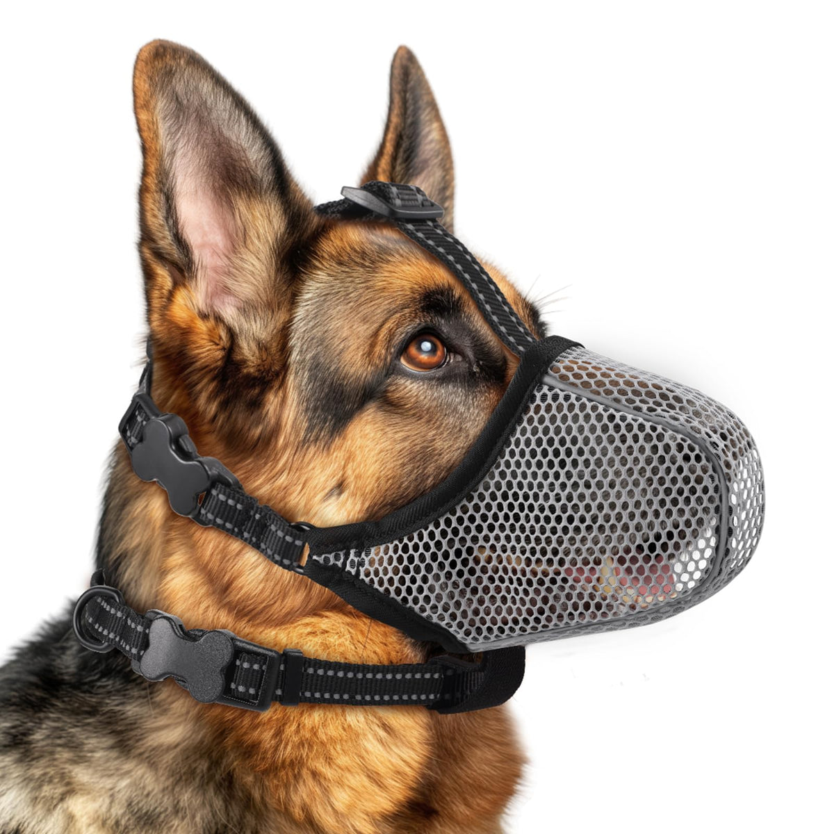 Muselière BONTHEE pour chien, maille douce visible, respiration facilitée lors des promenades.