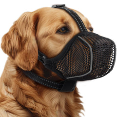 MUSEAU BONTHEE sur chien: confort et respiration pendant la promenade.