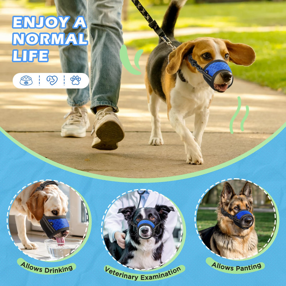 Muselière BONTHEE pour chien, facile à nettoyer et durable, pratique au quotidien.