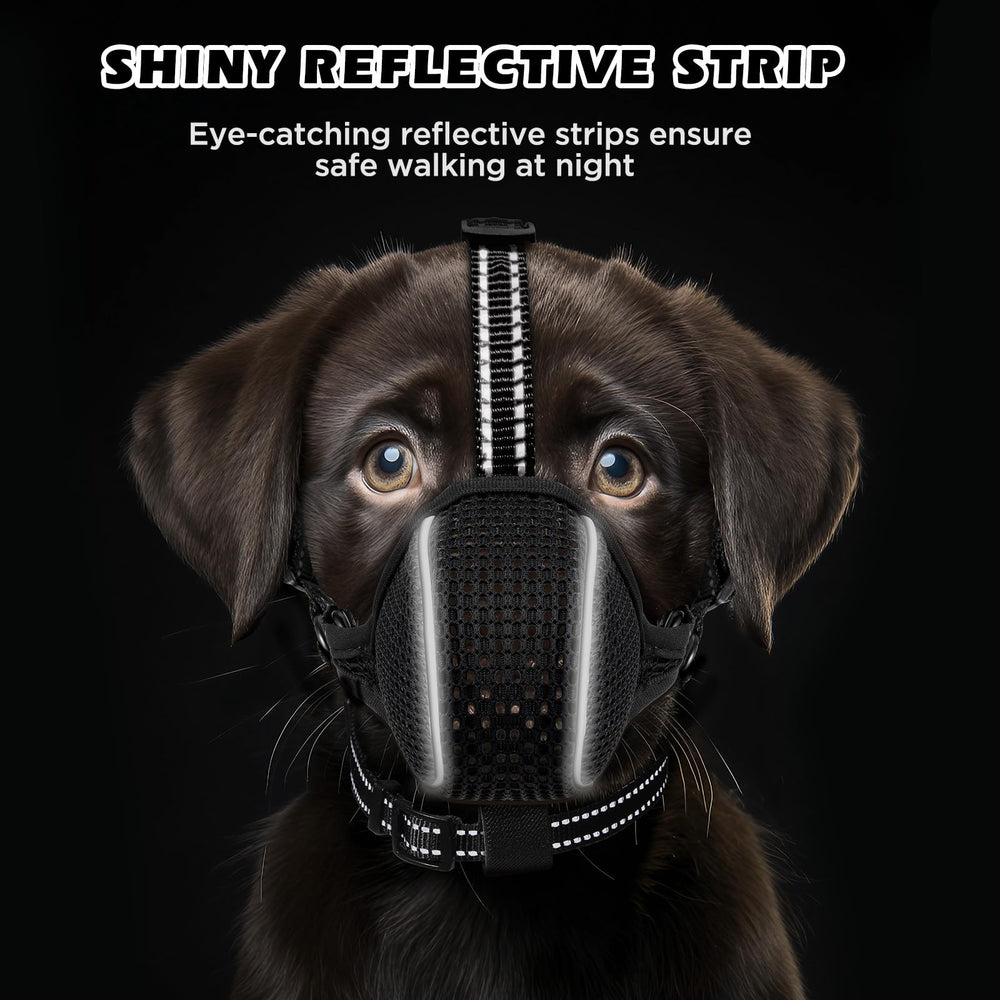 Museliere BONTHEE pour chien XXL noir, design pliable, rangement pratique.