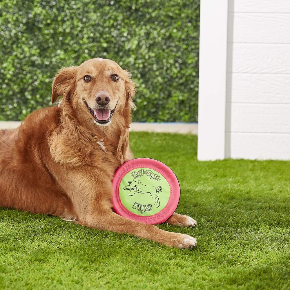 Booda Tail-Spin Flyer flotte sur l'eau, parfait pour jeux aquatiques avec votre chien.