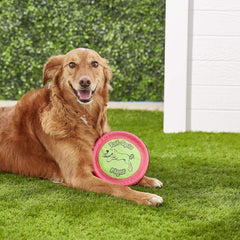 Booda Tail-Spin Flyer flotte sur l'eau, parfait pour jeux aquatiques avec votre chien.