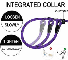 BOOEUDI, corde nylon résistante, diamètre 1/2 pouce, adaptée aux chiens actifs.