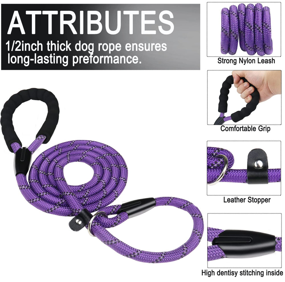 BOOEUDI, laisse-collier-en-un pour simplicité et maîtrise pendant les sorties.
