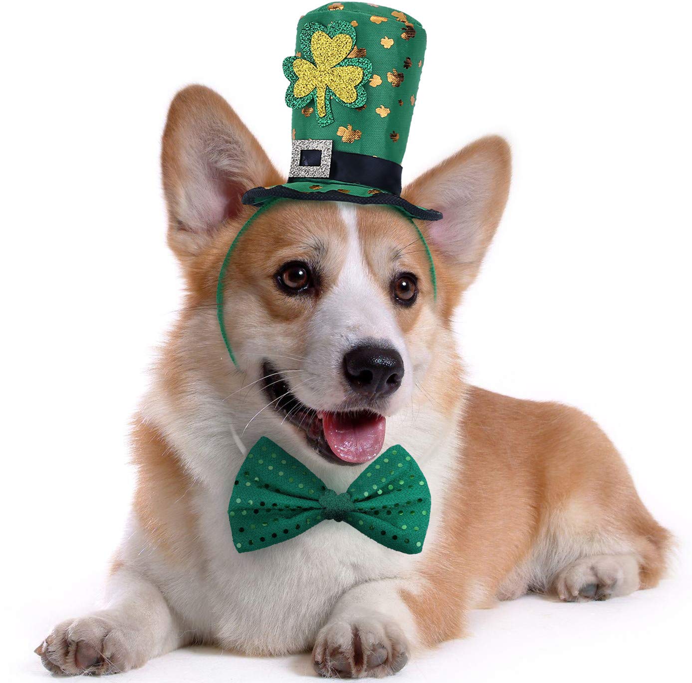 BoomBone serre-tête Saint-Patrick pour chien, idéal pour séances festives.