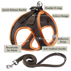 Harnais BOOMIBOO pour chien, vue arrière, boucles faciles et sécurité.