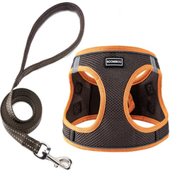 Harnais BOOMIBOO pour chien, vue avant, ajustement sûr et confortable.