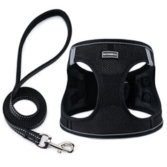 Harnais BOOMIBOO pour chien avec laisse, confort et sécurité lors des promenades.