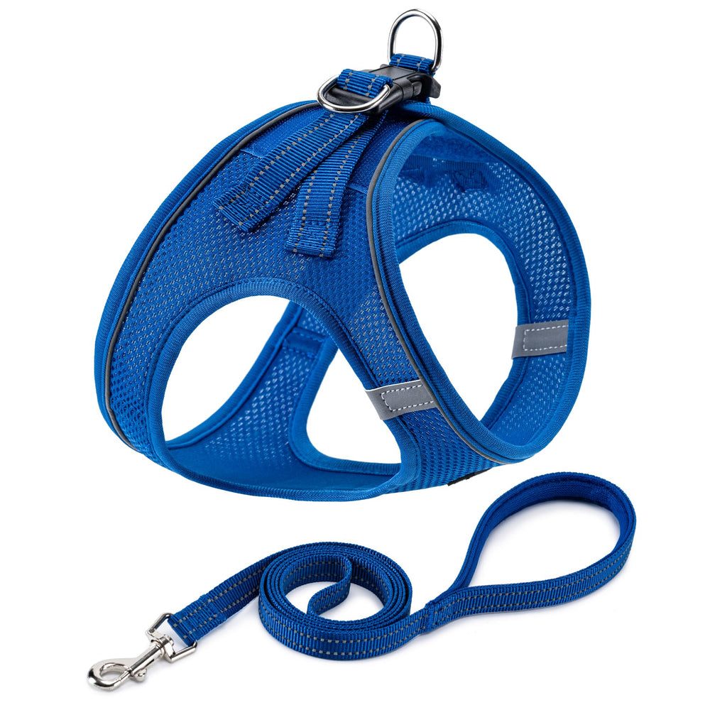 Harnais BOOMIBOO pour chien bleu, confort et sécurité.
