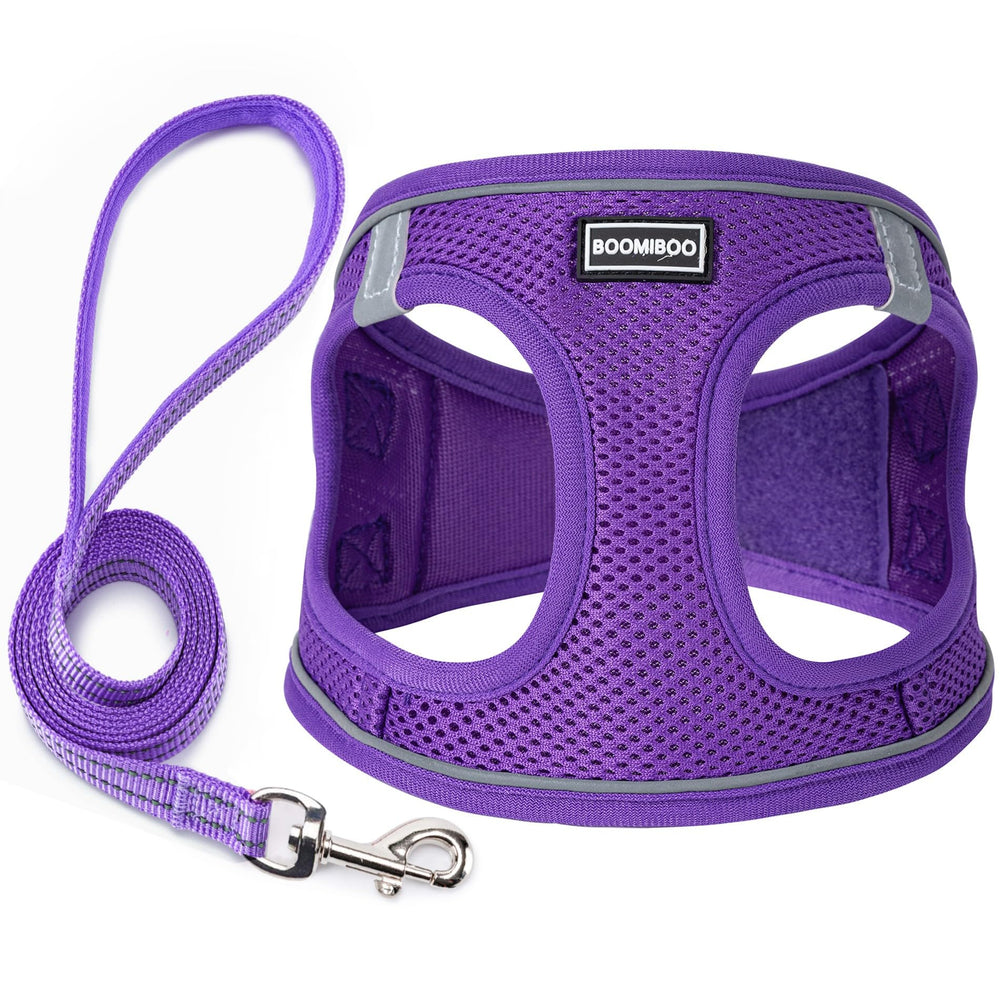 BOOMIBOO harnais-chien et laisse violet pour promenades confortables et visibles.
