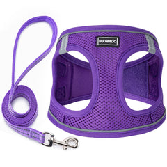 BOOMIBOO harnais chien sans tirage – vue générale pour promenade confortable.