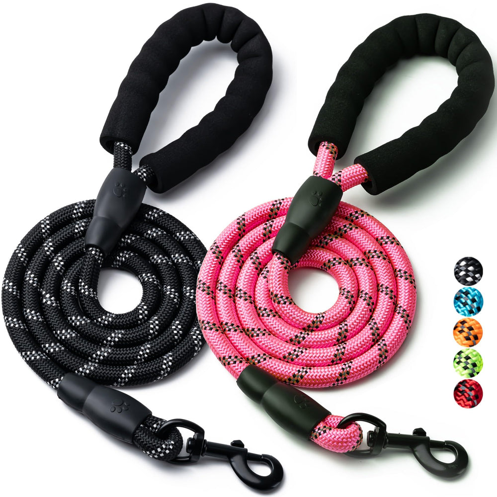 Laisse BOOMIBOO nylon durable 4ft pour petites races et balades quotidiennes.