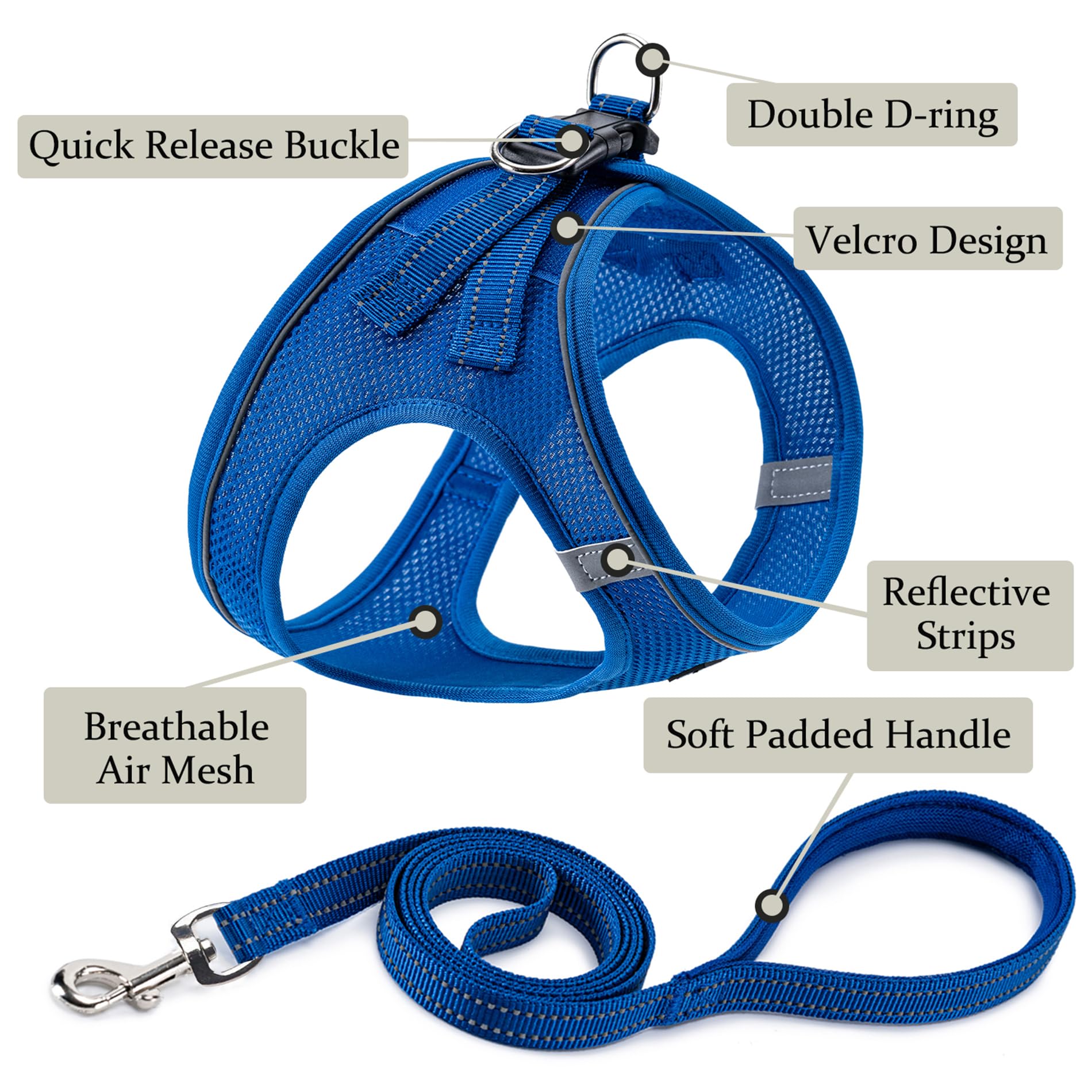 Laisse BOOMIBOO bleue assortie pour un contrôle en promenade.
