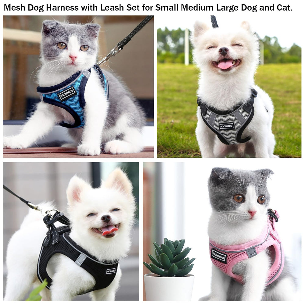 BOOMIBOO pack harnais et laisse, idéal pour chiens et chats.