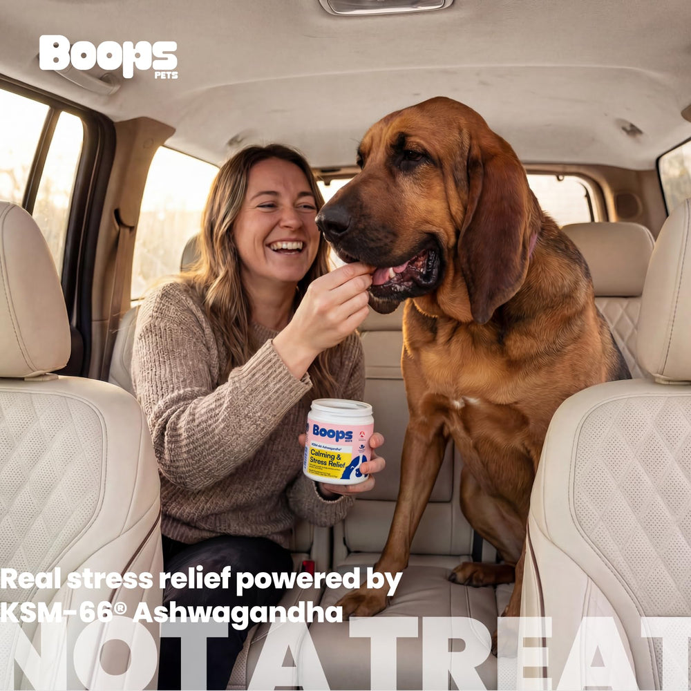 Boops Pets bouchées fabriquées aux États-Unis pour chiens.