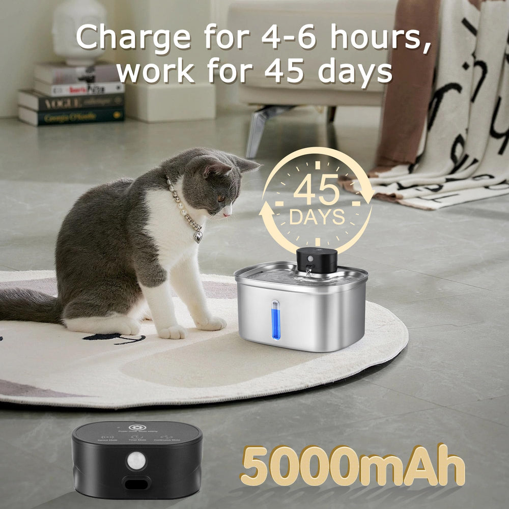 BOORCA fontaine pompe silencieuse sous 30 dB pour un foyer calme.