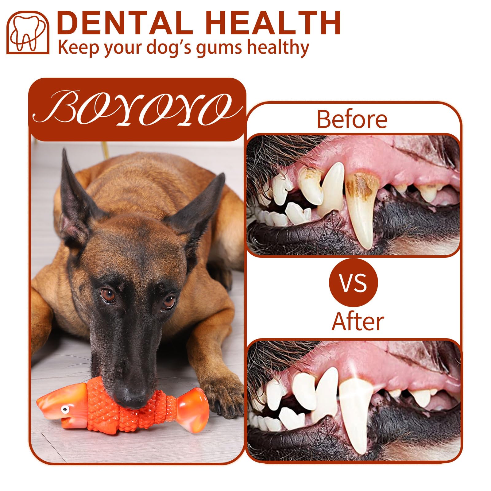 BoYoYo soutien la dentition chez les chiots et jeunes chiens par sa construction.