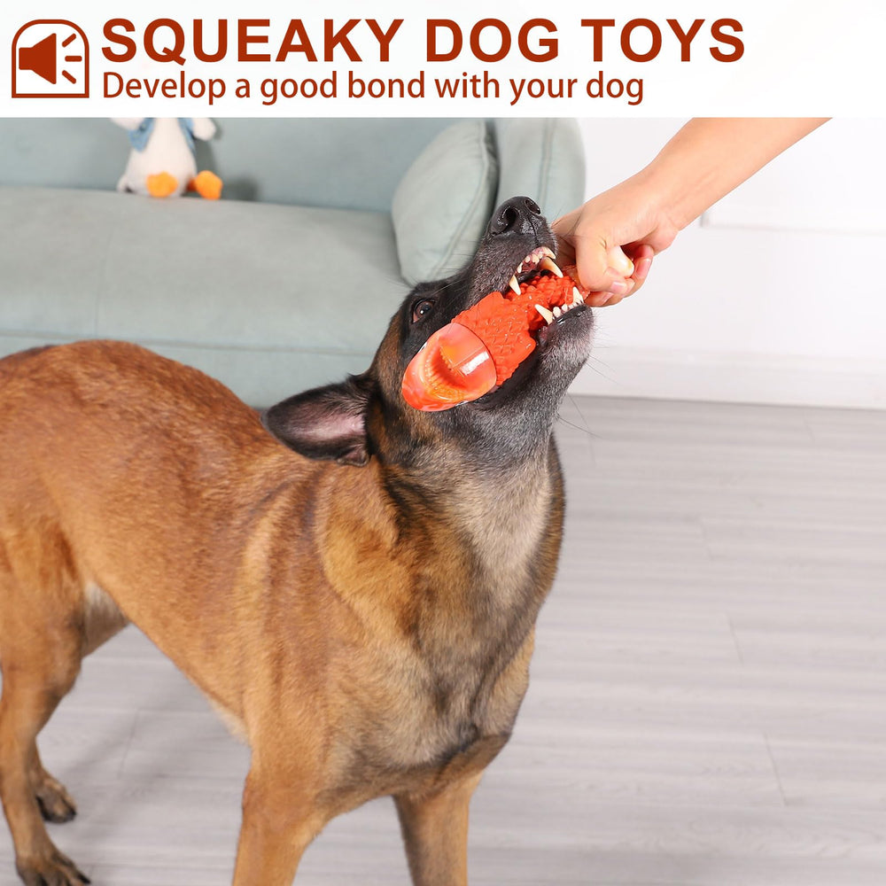 BoYoYo interactif, jouet stimulant qui maintient le chien occupé.