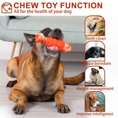 BoYoYo avec fonction sonore, jouet durable qui attire l’attention du chien.