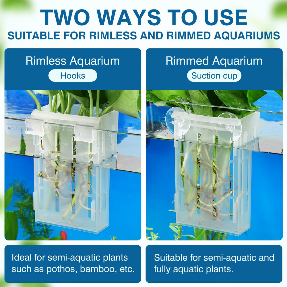 Installation double mode sur Borlech, adaptable à votre configuration d’aquarium.
