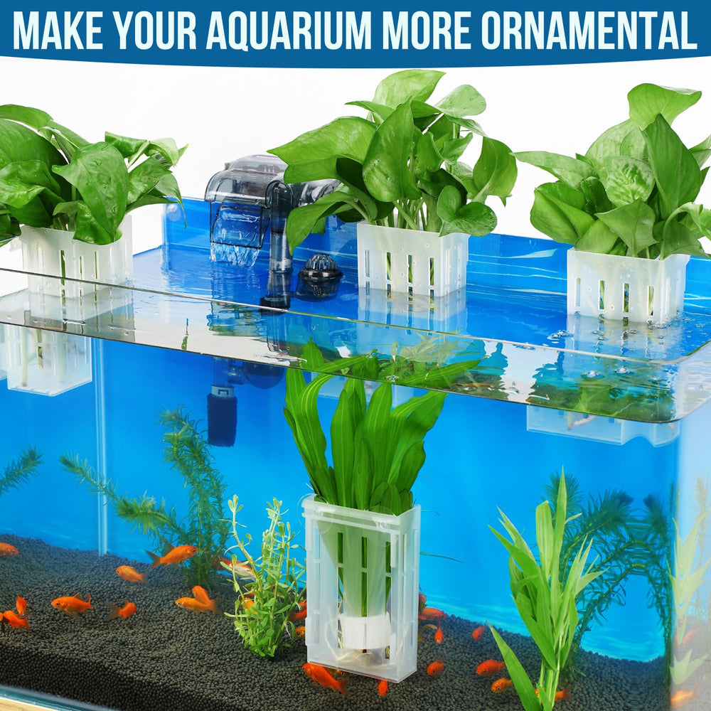 Porte-plantes Borlech en PP résistant, sûr pour poissons et plantes.