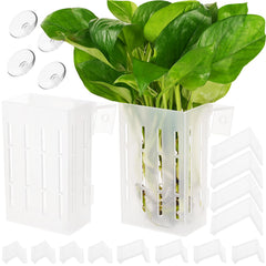 Borlech porte-plantes avec crochets et ventouses pour fixation stable dans l’aquarium.