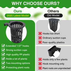 Borlech support pour aquarium, adaptable et stable sur toutes les parois.
