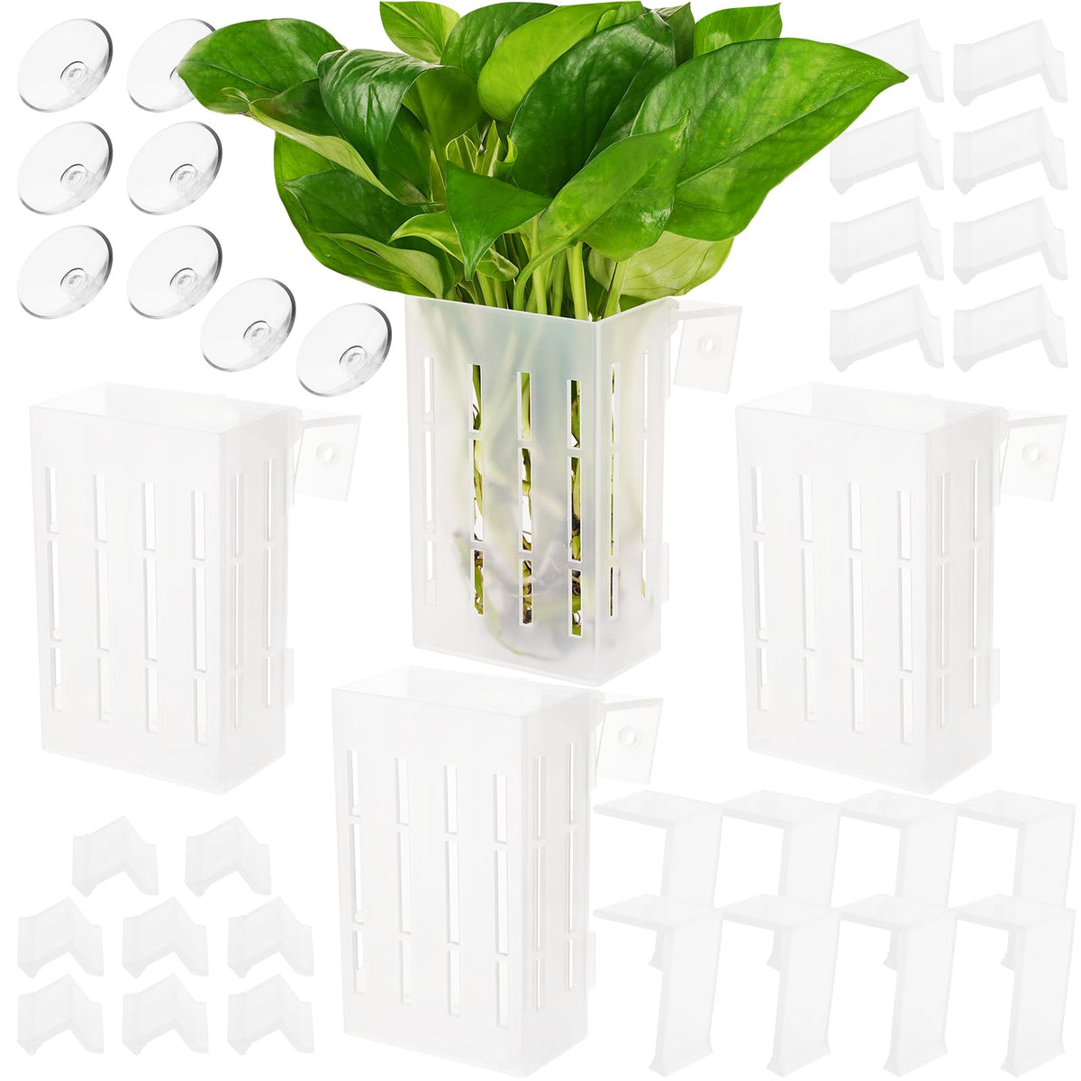 Borlech support-plante-aquarium avec ventouse et crochets pour fixation stable.