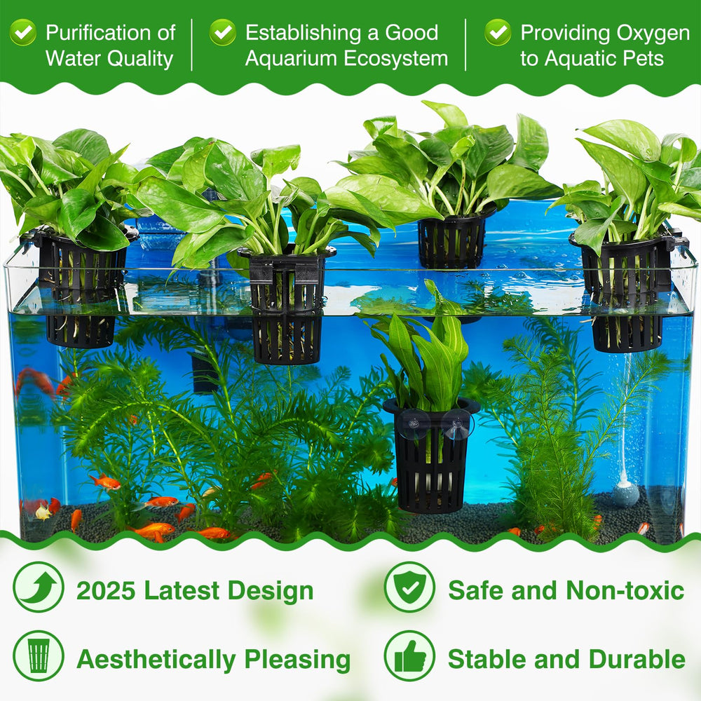 Borlech ventouses pour support-plante fixation sûre sur verre.