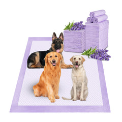 Couches propreté Boscute pour chiots 36x36: pad absorbant et pratique pour l'entraînement.