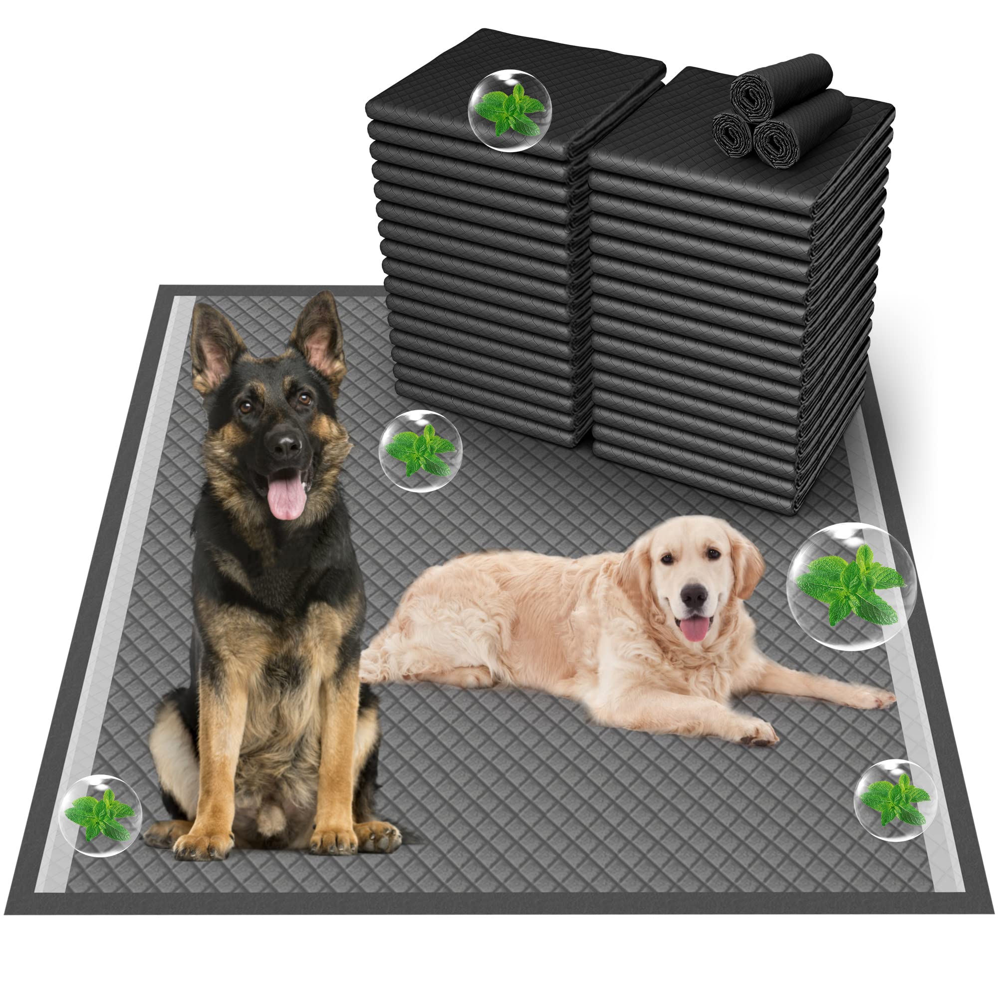 Tapis absorbants Boscute XXXL 36x36, absorption rapide et protection du sol.